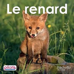 LECTURE CP PILOTIS : ALBUM 2 : LE RENARD - ALBUM