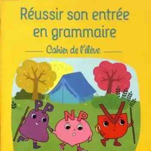 REUSSIR SON ENTREE EN GRAMMAIRE CE1 CAHIER DE L'ELEVE