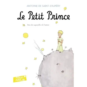 LE PETIT PRINCE N°100