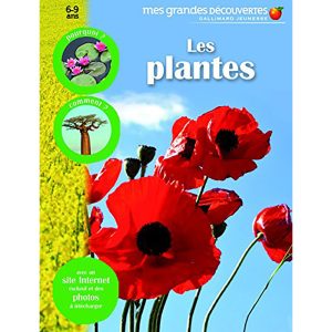 MES GRANDES DECOUVERTES : LES PLANTE