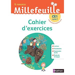 LE NOUVEAU MILLEFEUILLE CE1 CAHIER D'ACTIVITES