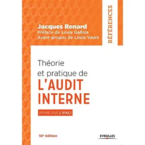 THEORIE ET PRATIQUE DE L'AUDIT INTERNE