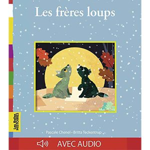 PACK CONTE NENUPHAR CM2" MON COPAIN..-DEFI D'ENFER-UN
