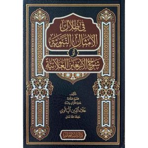 في ظلال الأمثال النبوية أو شرح الأربعين العلائية : دار باب العلم