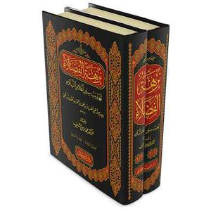 نزهة الفضلاء تهذيب سير أعلام النبلاء 14