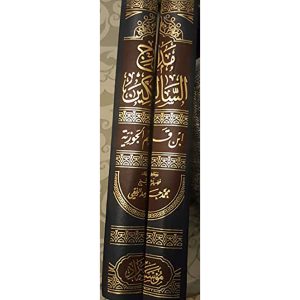 مدارج السالكين بين منازل إياك نعبد وإياك نستعين (شامو