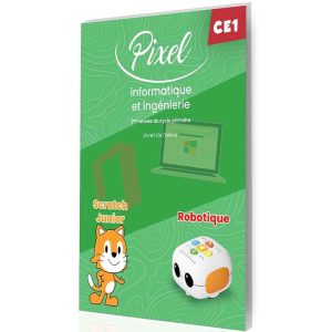 PIXEL INFORMATIQUE ET INGENIERIE CE1