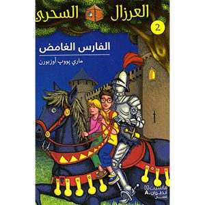 الفارس الغامض