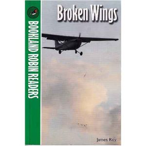 BROKEN WINGS