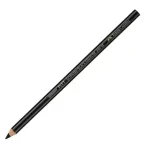 Crayon Fusain Noir PITT Moyen