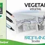 12 F CALQUE VEGETAL A4 90G SADIPAL