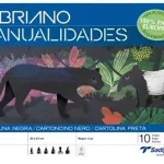 BLOC BRICOLAGE 10F BRISTOL A4+ NOIR SADIPAL