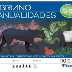 BLOC BRICOLAGE 10F BRISTOL A4+ NOIR SADIPAL