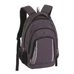 SAC A DOS PULSE CLASSIC GRIS