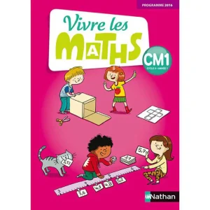 VIVRE LES MATHS CM1 FICHIER + MEMO