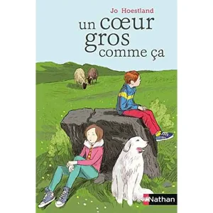 UN COEUR GROS COMME CA