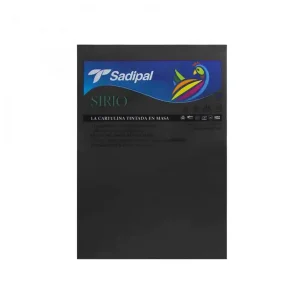 PAPIER BRISTOL A4 30 NOIR P10 SADIPAL