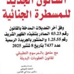القانون الجديد  للمسطرة الجنائية عدد 163