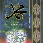 محمد صلى الله عليه وسلم - رضا محمد